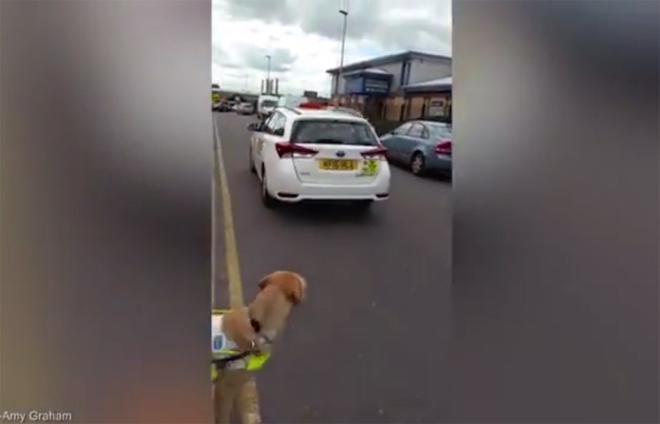  After a lengthy discussion the driver pulls away and leaves the blind man and his dog to find another way home