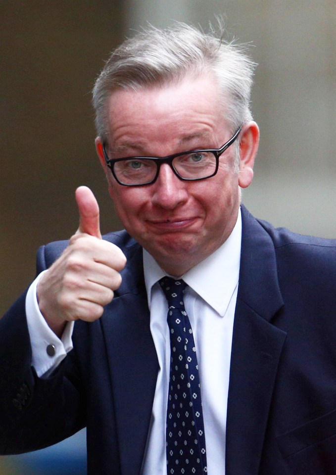 Michael Gove