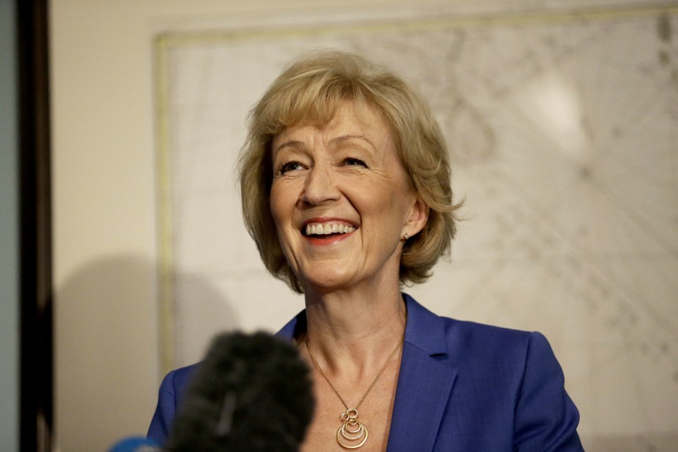  Andrea Leadsom has been propelled to prominence by the EU referendum