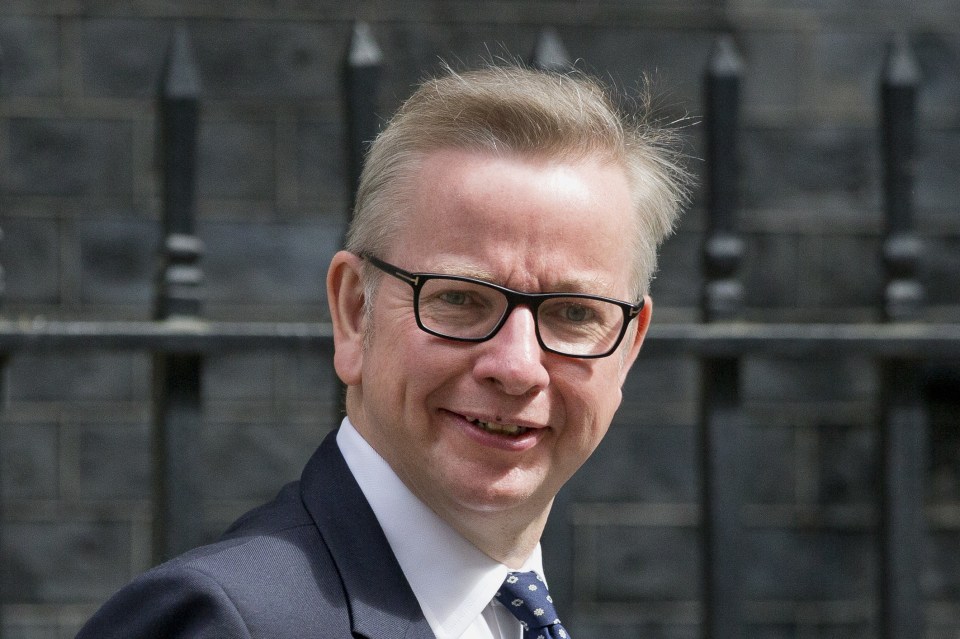  An MP backing Michael Gove called Leadsom's comments 'utterly grim'