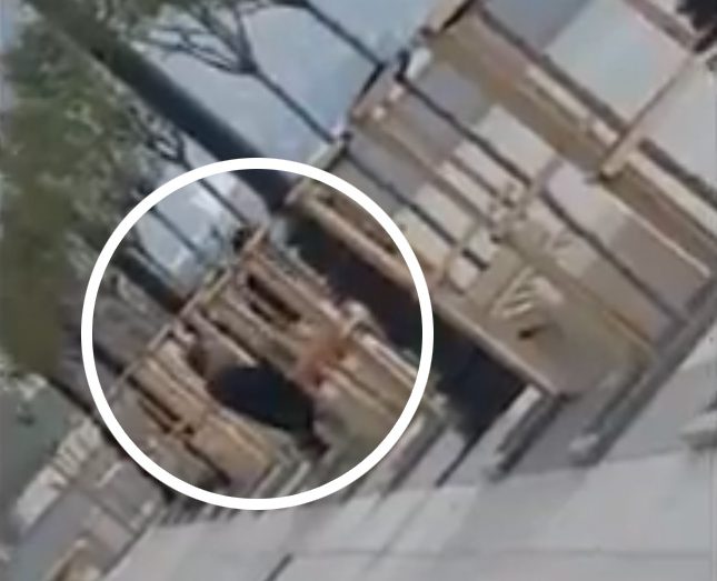 The couple were seen getting off with one another on a public bench