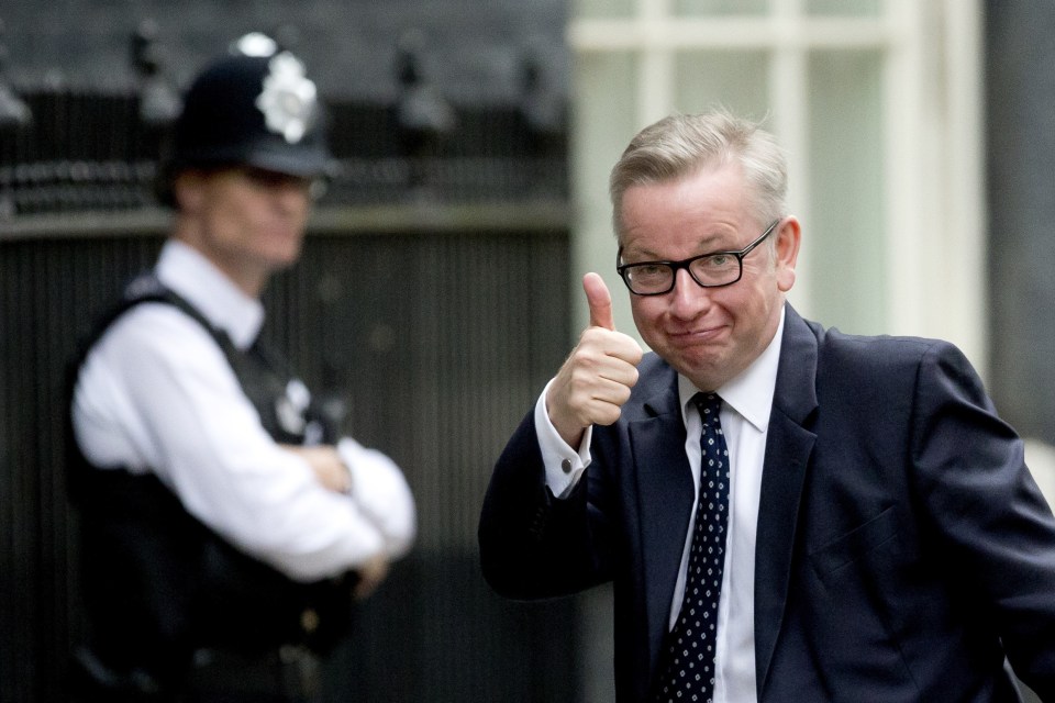 Michael Gove