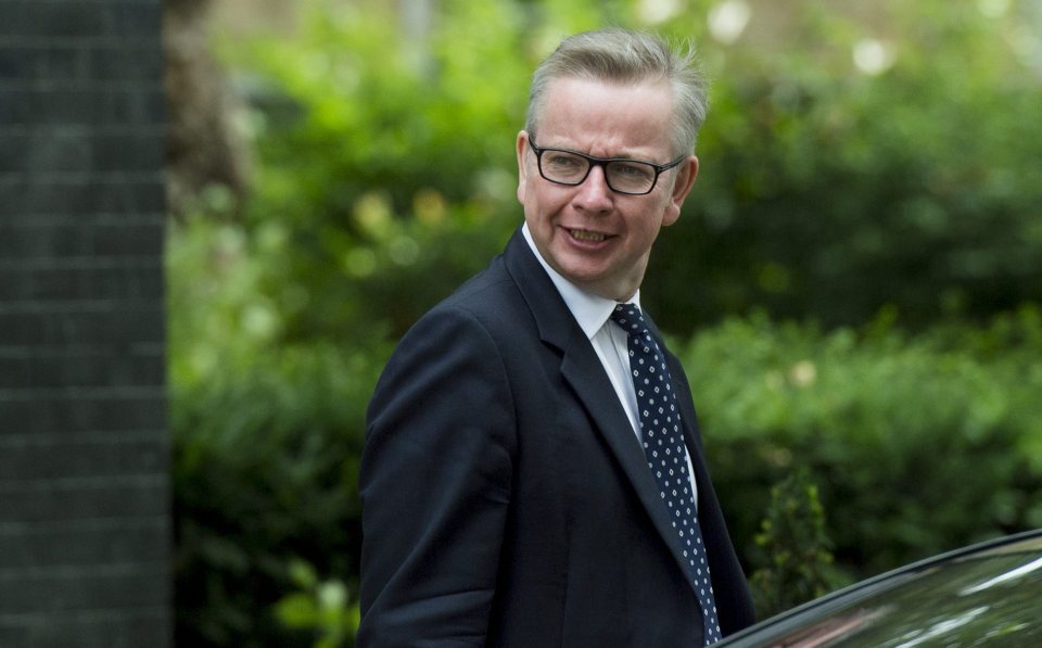  Slim chance ... despite May's strong support, Michael Gove’s hopes of becoming Prime Minister live on