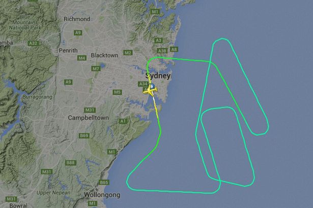  Tracking website Flightradar24 shows the plane circled several times before landing