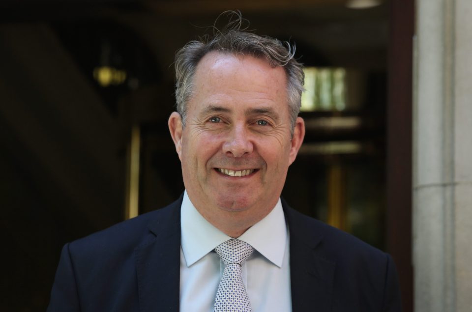 Dr Liam Fox