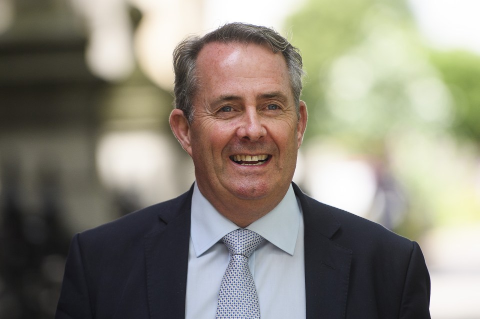 Liam Fox 