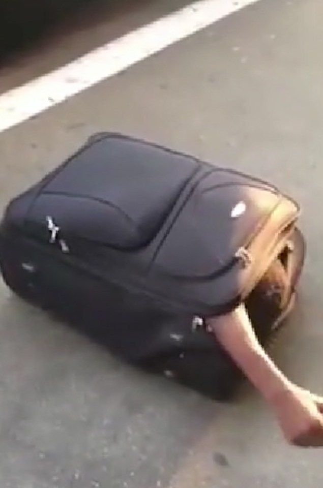  The suitcase contortionist, who is roughly six feet tall, reaches an arm out of his zipped-up prison