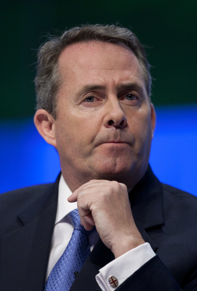  'Disappointed' ... Liam Fox said he did not regret standing, despite recieving a drubbing