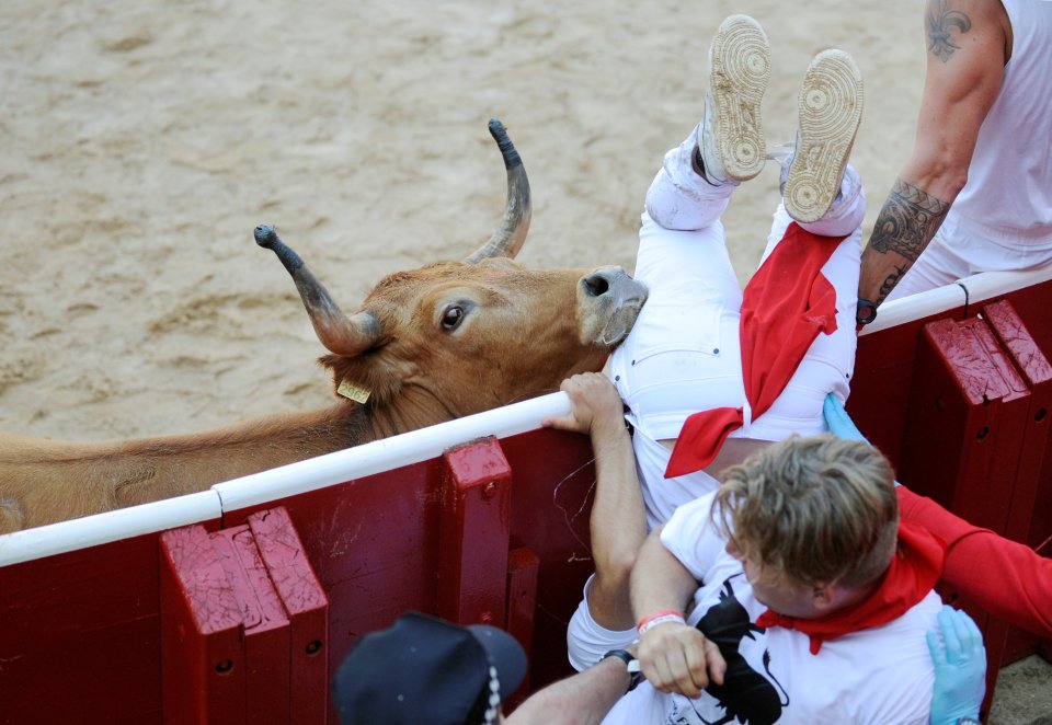  Safe! The runner falls head first over the barrier as he escapes the raging bull