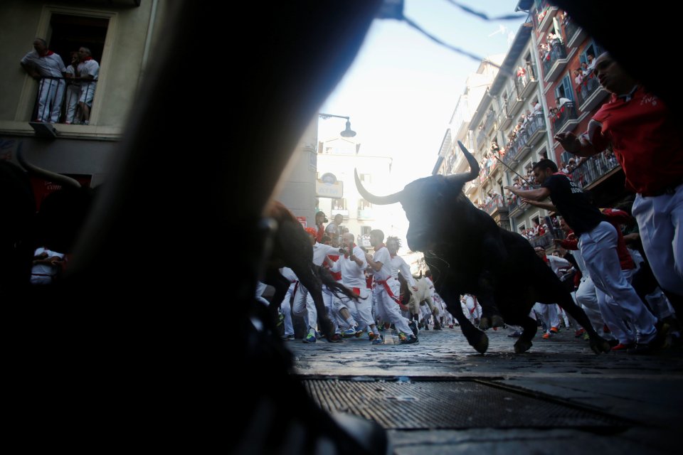  The runs are televised every morning with the participants required to run with six charging bulls through to the bull ring