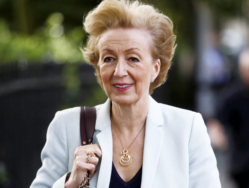  Andrea Leadsom has been the dark horse in the leadership race