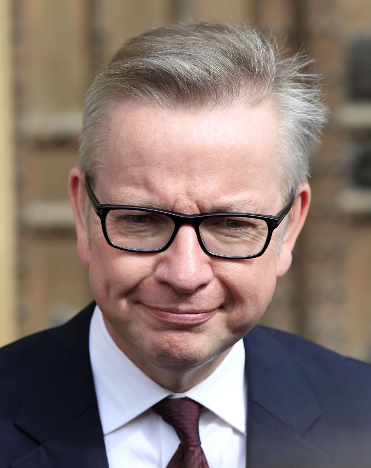  Michael Gove said he was 'naturally disappointed' by the result