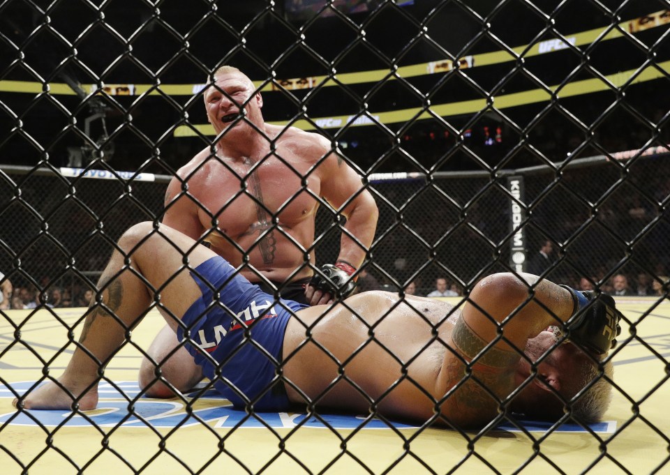 Brock Lesnar defeated Mark Hunt by unanimous decision in UFC return last week