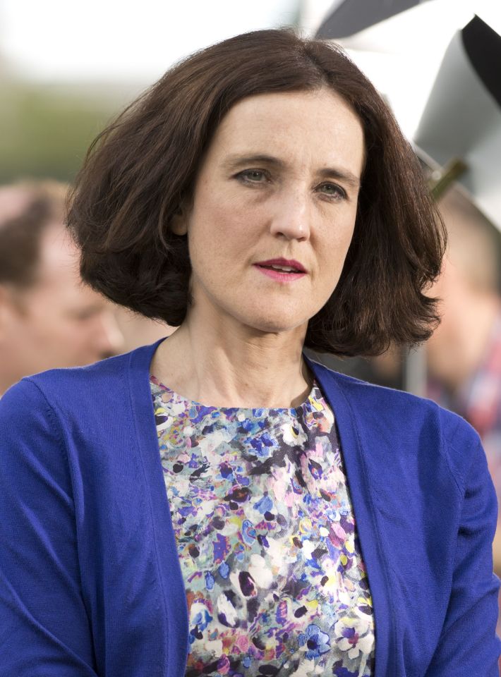 Theresa Villiers