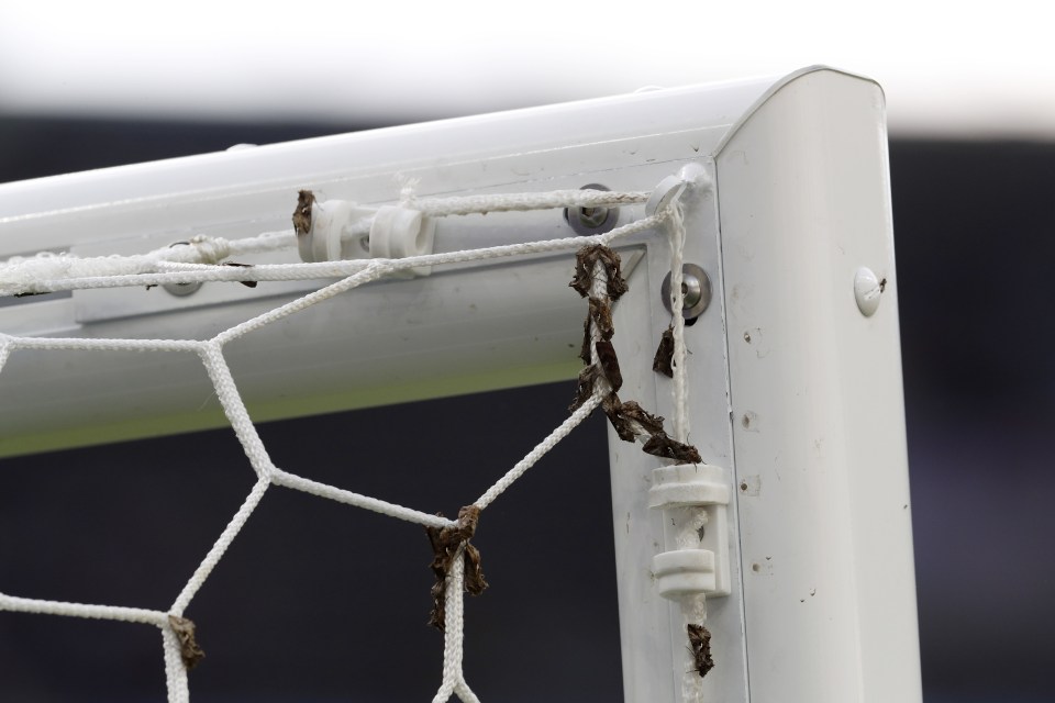  Moths cling to the goalposts and netting at the Stade de France before the kick-off of the Euro 2016 final between France and Portugal