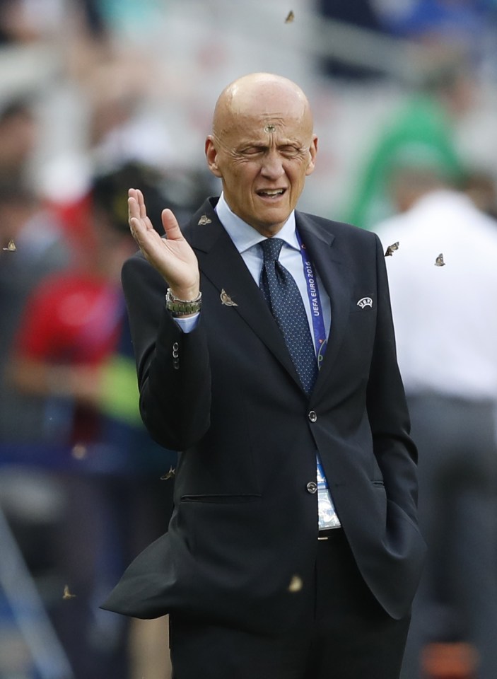  Referee's chief Pierluigi Collina comes under attack on the touchline