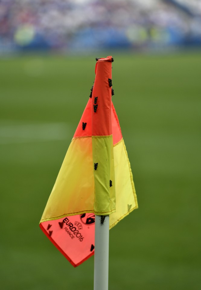  A corner flag is swamped by moths at the Euro 2016 final