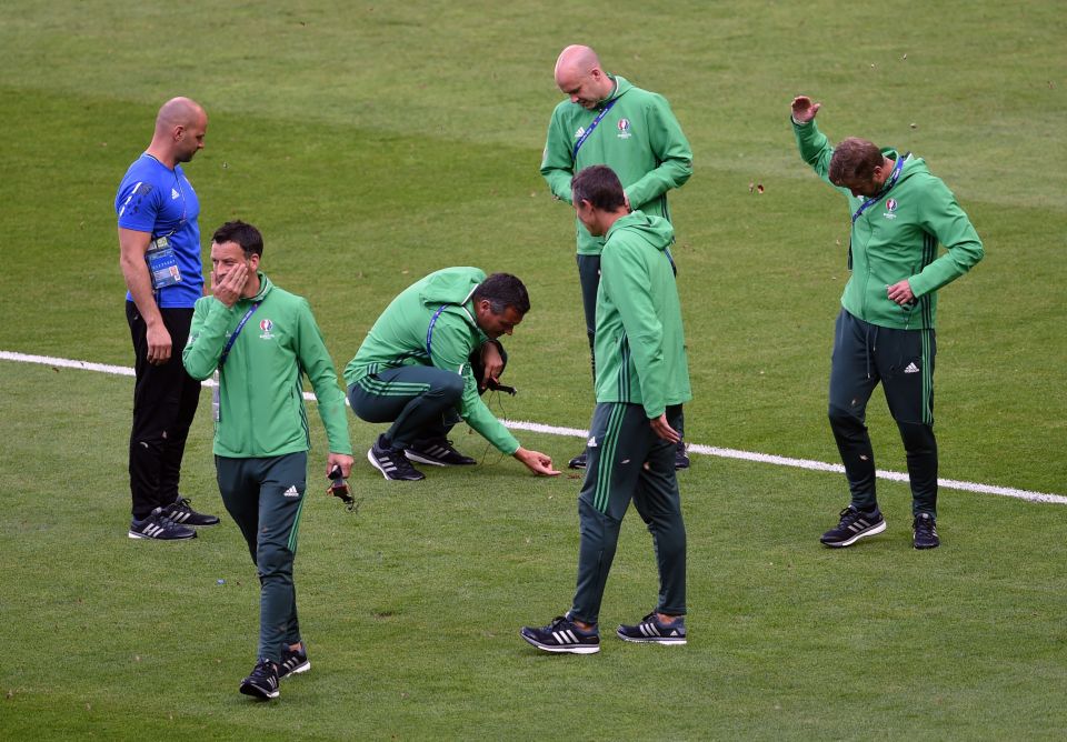  Marc Clattenburg and his team try to cope with the infestation of the moths before kick-off in Paris