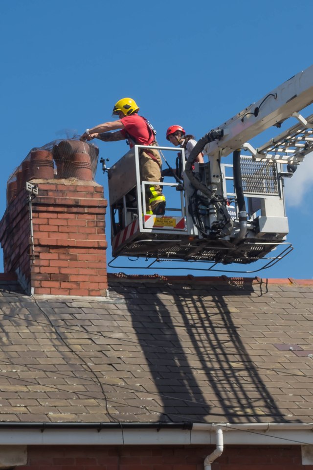  Twelve firefighters were called to the street in Blackpool to save a single bird