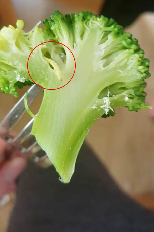  Amazingly, a mate also pictured maggots in veg bought from the same store