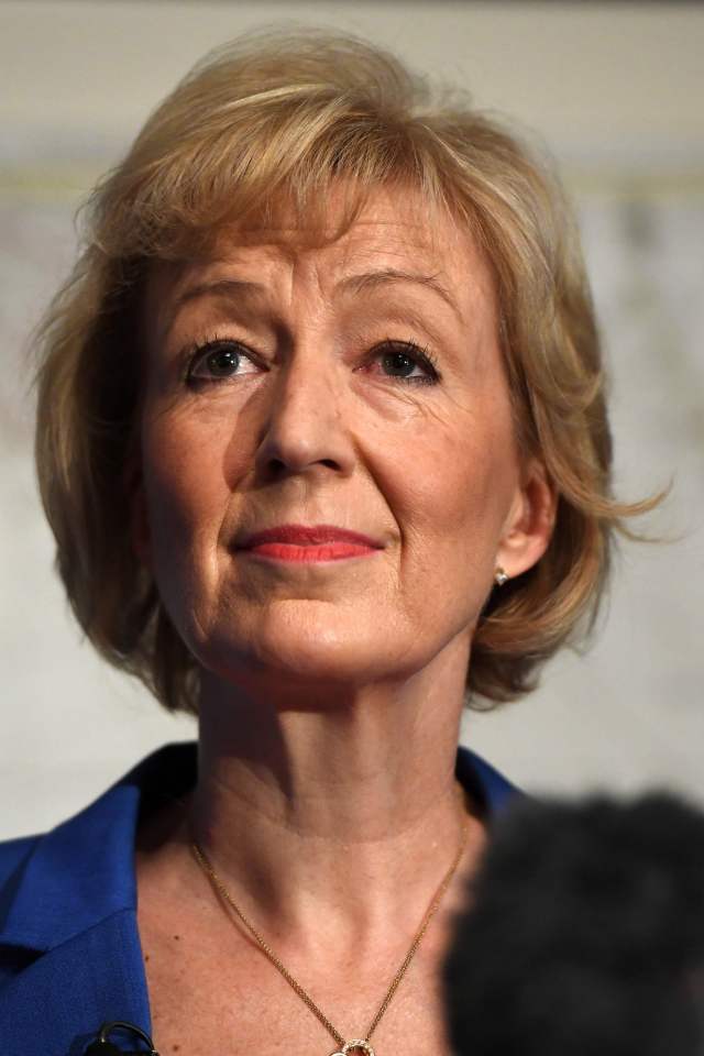 Leadsom accidentally entered the race and suddenly found her life placed under a microscope