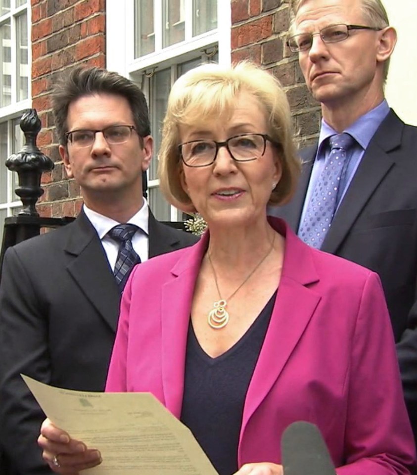 From the outset of the contest Leadsom appeared too inexperienced to be a serious candidate to lead the country