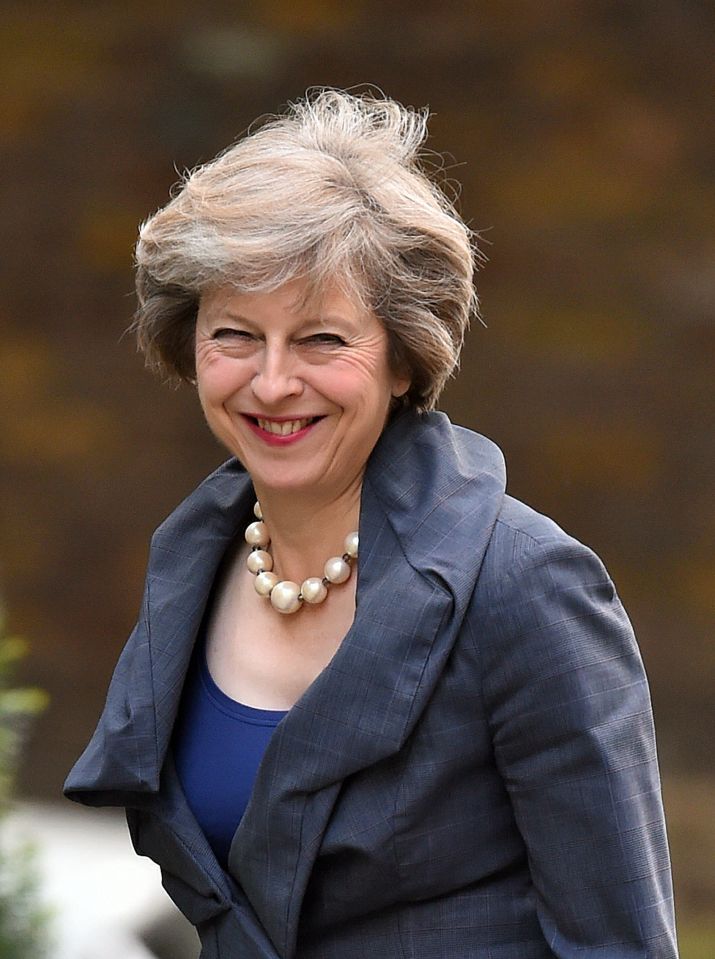  Home Secretary Theresa May will meet the Queen today as she is officially made PM of the UK