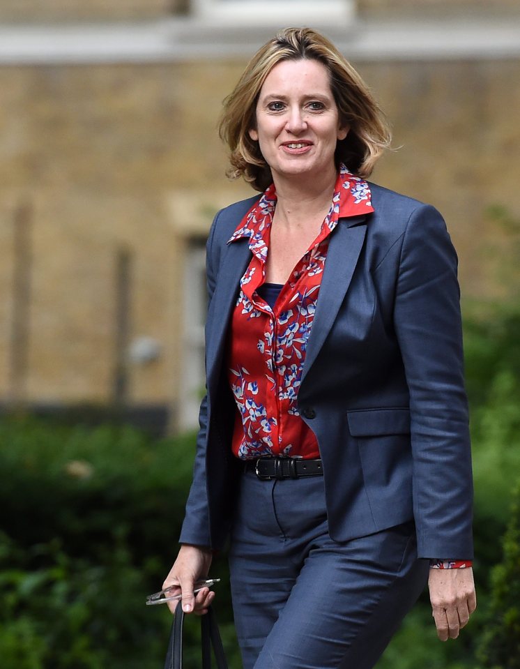  Amber Rudd has had fallouts with Boris Johnson over Brexit with the up and the promotion of the up and coming politician seen as a meteoric rise