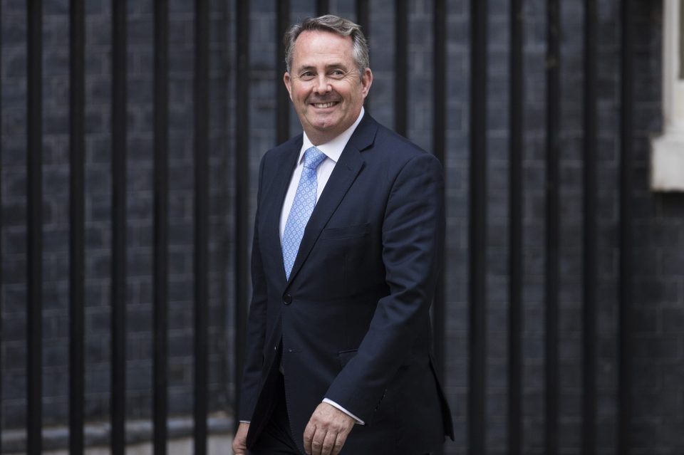  Liam Fox has come back from the cold and is now under the wing of Theresa May