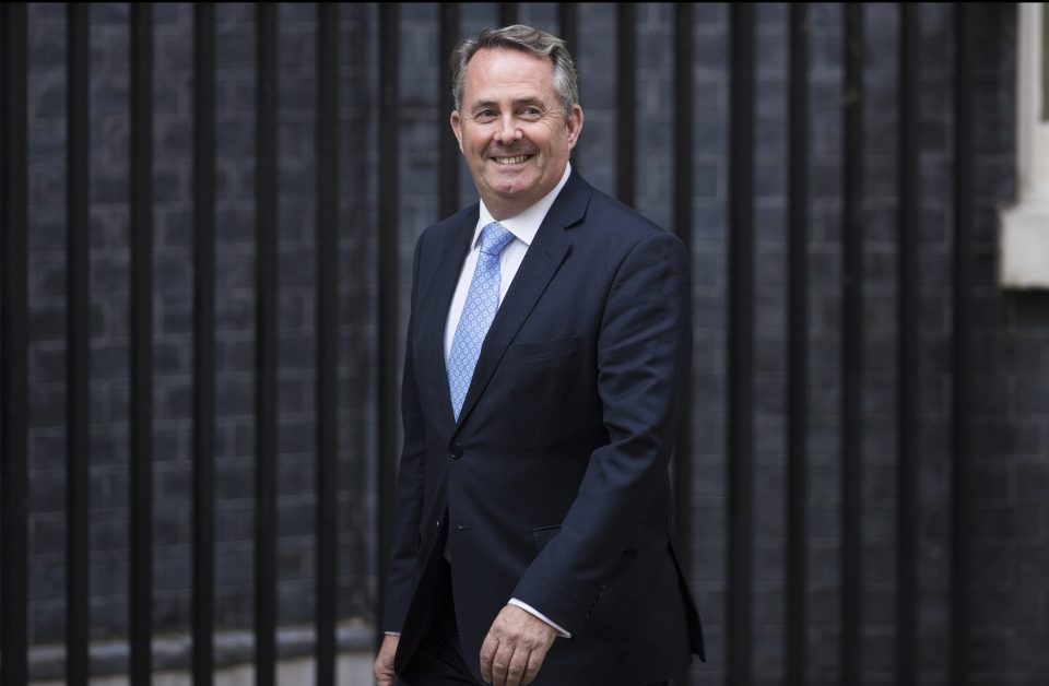 Liam Fox 