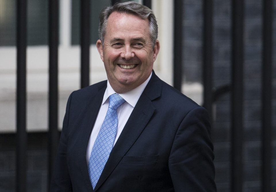 Liam Fox will have the task of going through new international trade deals in his new role as Secretary