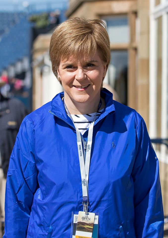  Spinning a yarn ... Sturgeon is ignoring the 1million Scottish voters who backed Brexit