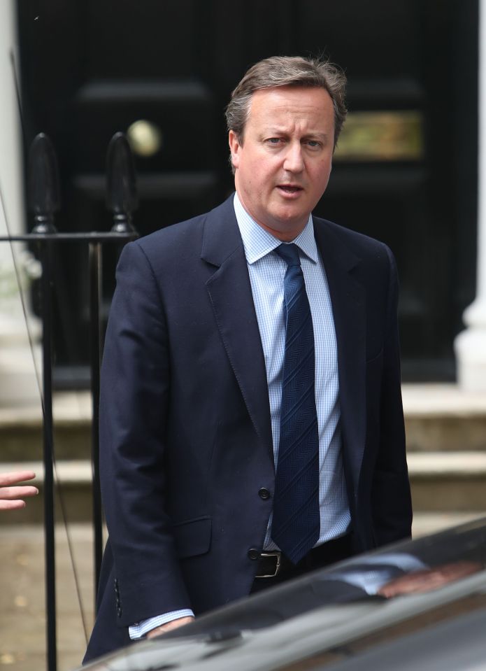  Ex-PM David Cameron left the house soon after looking more familiar in a smart blue suit and tie