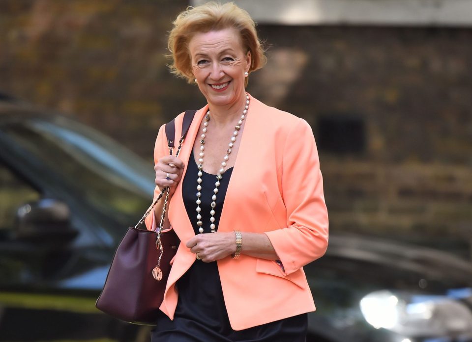  Brexiteer Leadsom was May's rival in the Tory leadership contest but is now in her Cabinet