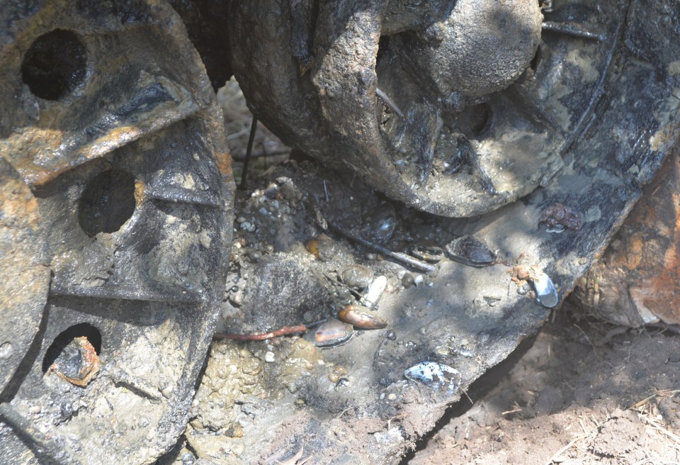  The tank is hoped to be restored to working order despite having been submerged for more than 60 years