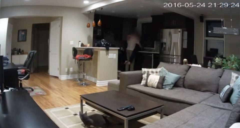 pet-sitter caught having nookie on camera