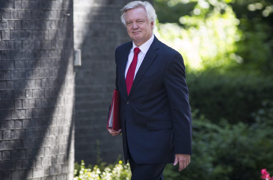  David Davis will lead the detailed negotiations with Brussels leaving Boris to focus on the rest of the world