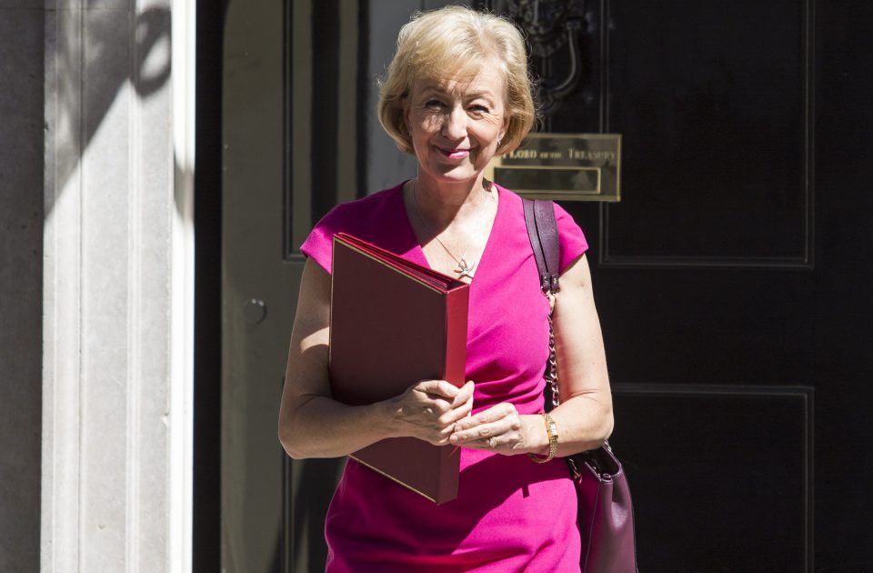  Environment Secretary Andrea Leadsom hasn't claimed any personal expenses in six years