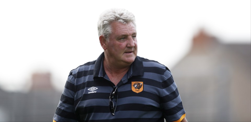  Steve Bruce has stepped down from his role as Hull boss