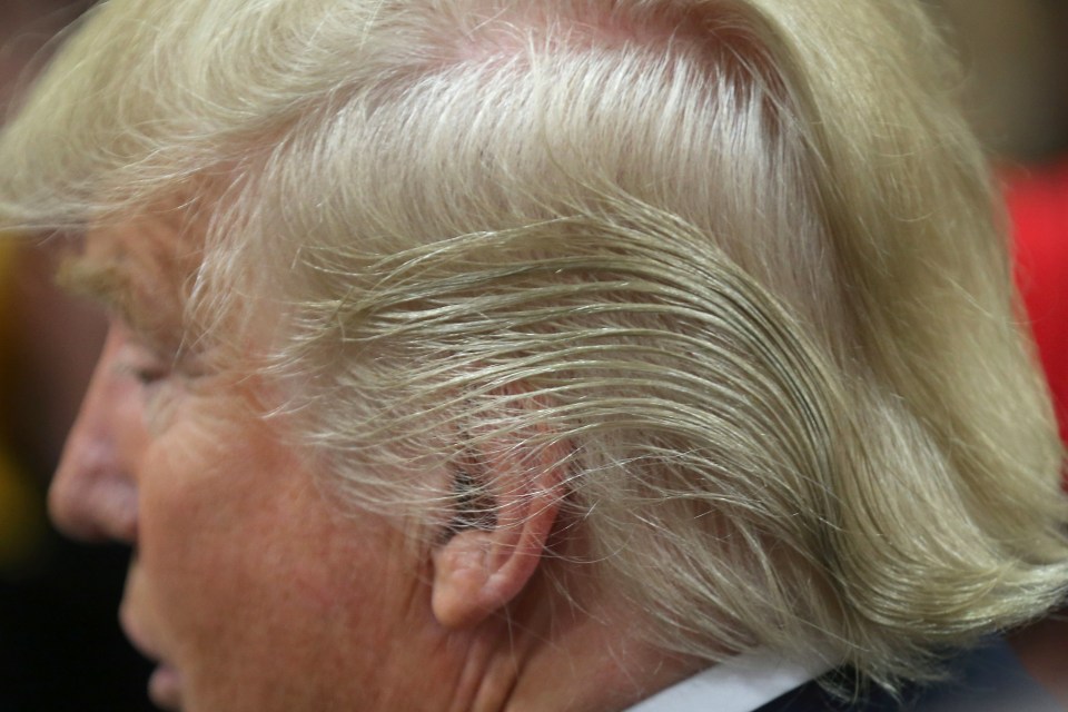  Donald likes to go OTT with the hair gel