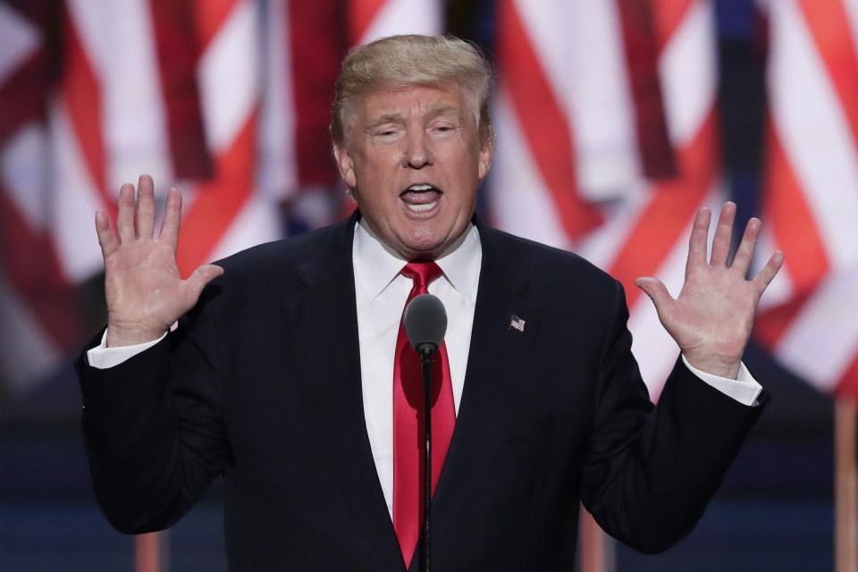  Donald Trump, pictured during a speech at the final day of the Republican National Convention in Cleveland, has vowed to have a wall built along the border of USA and Mexio