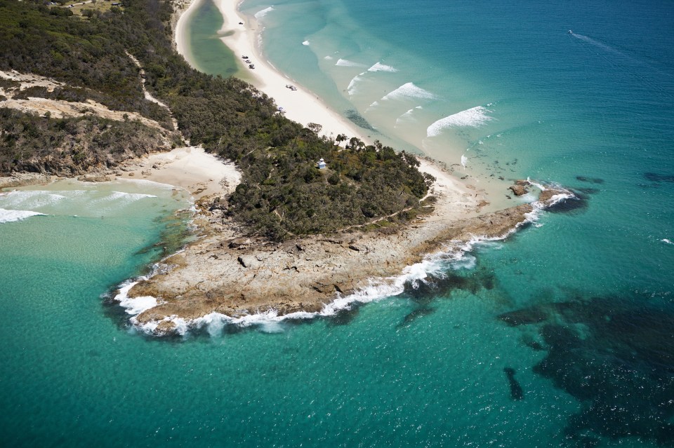  The group were diving off Moreton Island when the great white started circling