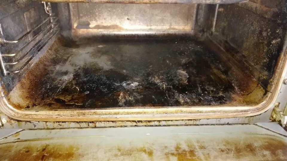  The images reportedly taken inside The Salutation in Sandwich, Kent, show dead insects floating in blocked sinks, rotting meat left in dirty fridges and an oven covered with grease