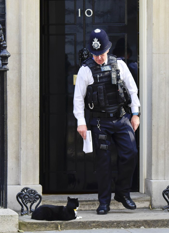  Lying in wait ... after lulling police into a false sense of security, Palmserston prepared to dash through No10’s open doorway this morning