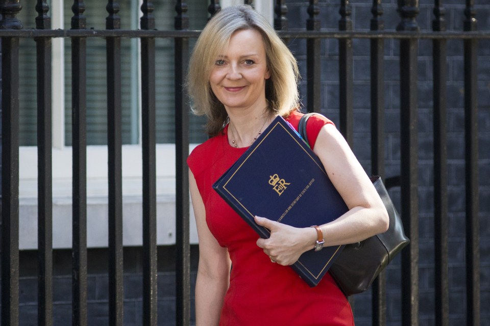  Some people questioned the decision to appoint Liz Truss as Lord Chancellor