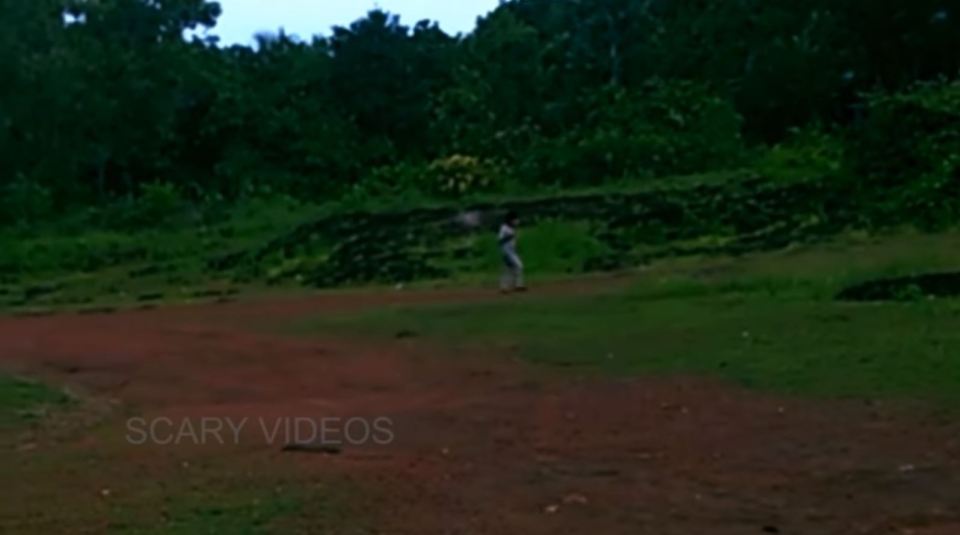 The footage, uploaded by an account called 'scary videos', shows a boy strolling towards a forest... but something is amiss 