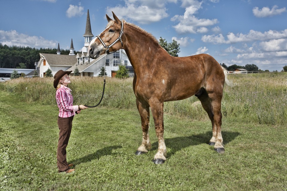 Big Jake was the largest horse of the modern era, coming close to Sampson's title