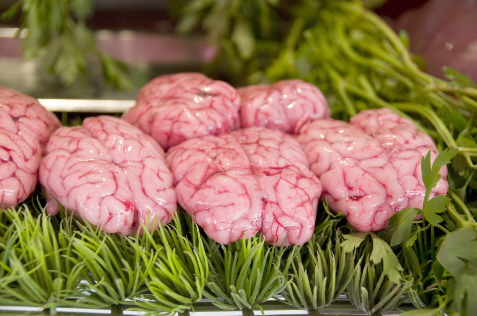 Are you brainy? Calf brain is known for its nutritional power