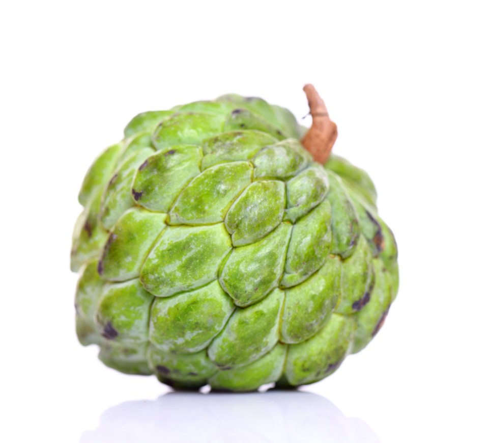 Cherimoya is also known as custard apple