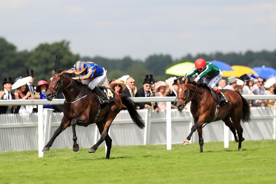  Mizzou (right) was an excellent second to Order Of St George on his last start